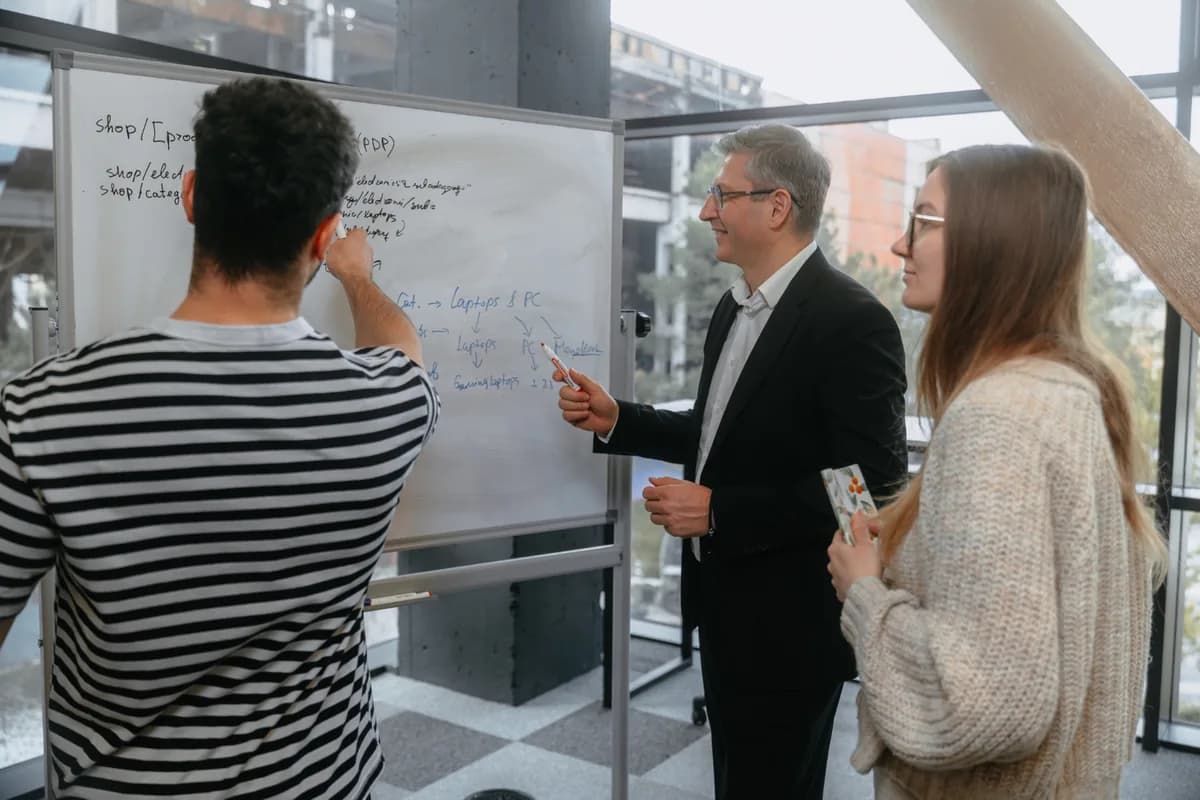Networking și schimb de experiență